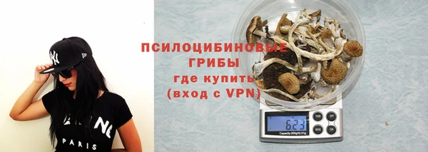 шишки Белоозёрский