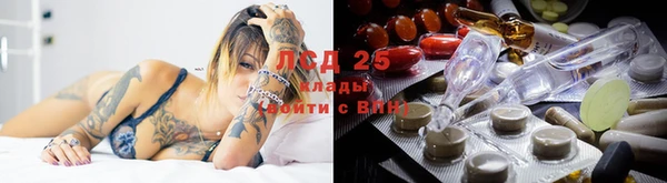 тгк Белокуриха