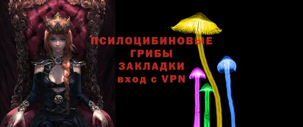 тгк Белокуриха