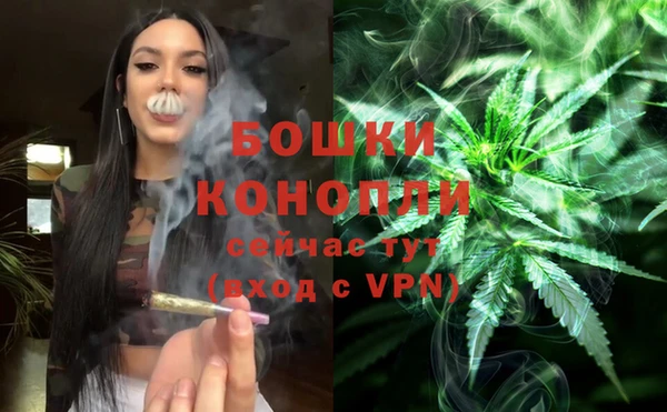 шишки Белоозёрский