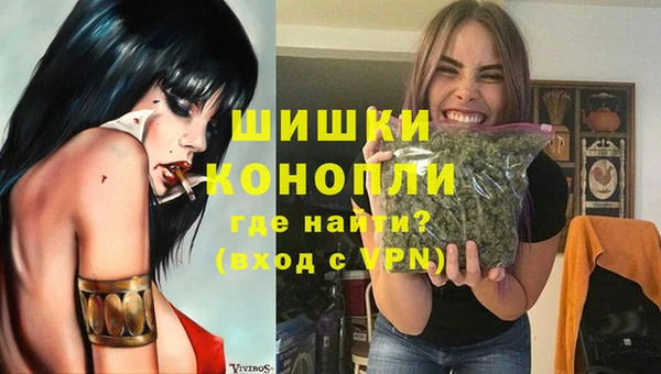 шишки Белоозёрский