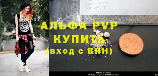 шишки Белоозёрский