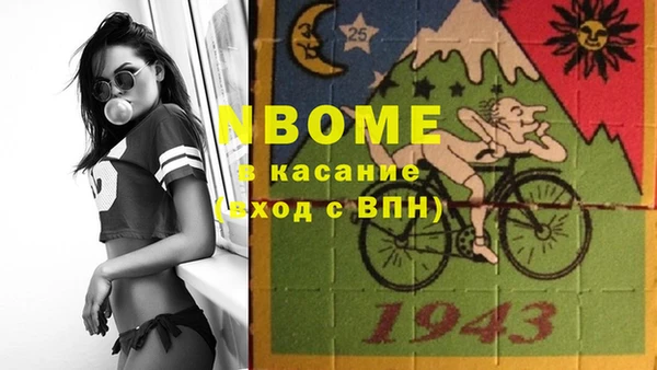 шишки Белоозёрский