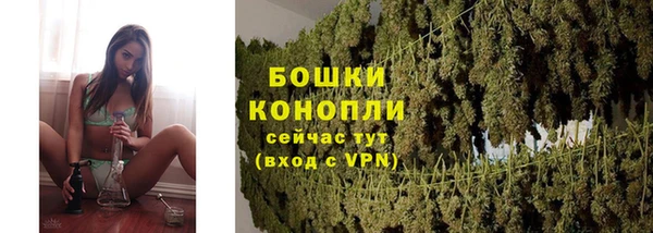 шишки Белоозёрский