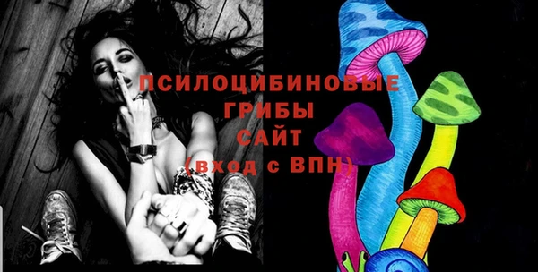 тгк Белокуриха